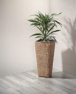 Gartenfreude Pflanzgefäß Blumenkübel Mit Wasserhyazinthe -Outsunny Geschäft 8600335500 4001 1000 002 prod 006