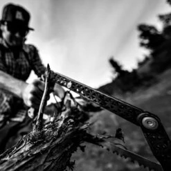 GERBER Klappsäge Freescape Gartensäge Handsäge Astsäge Baumsäge Faltsäge Outdoor -Outsunny Geschäft 8600354700 A2155 3575 prod 004