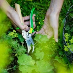 OPINEL Gartenschere Comfort - Strauchschere Rosen Blumen Schere Obst Ast Schere -Outsunny Geschäft 8600354700 A2297 3768 prod 005